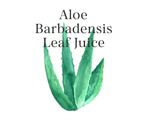 Forever Living Aloe Vera Products: Health & Beauty Solutions